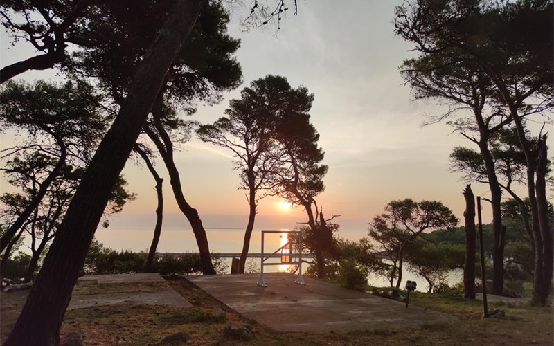 Hostel Zlatokrila 21